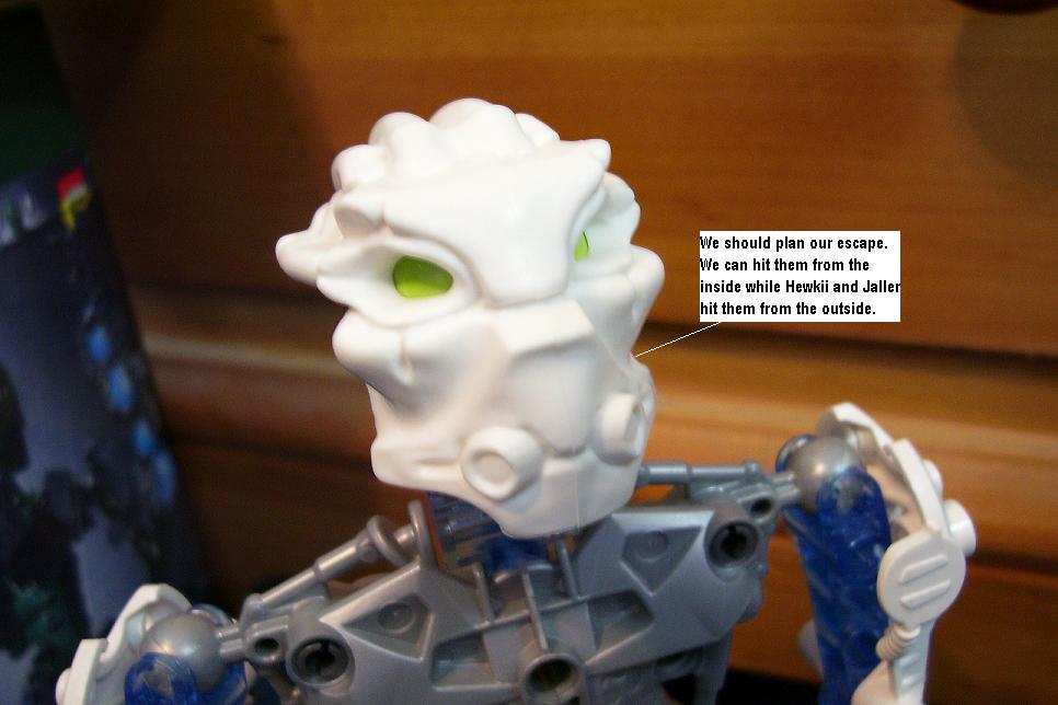 zzv.jpg