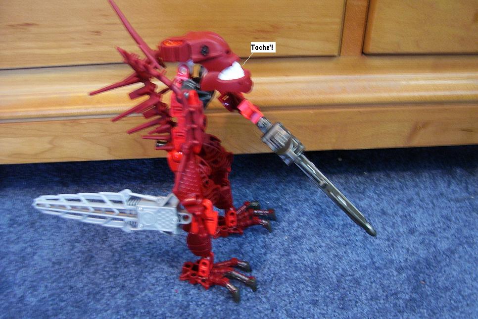 zzzf.jpg
