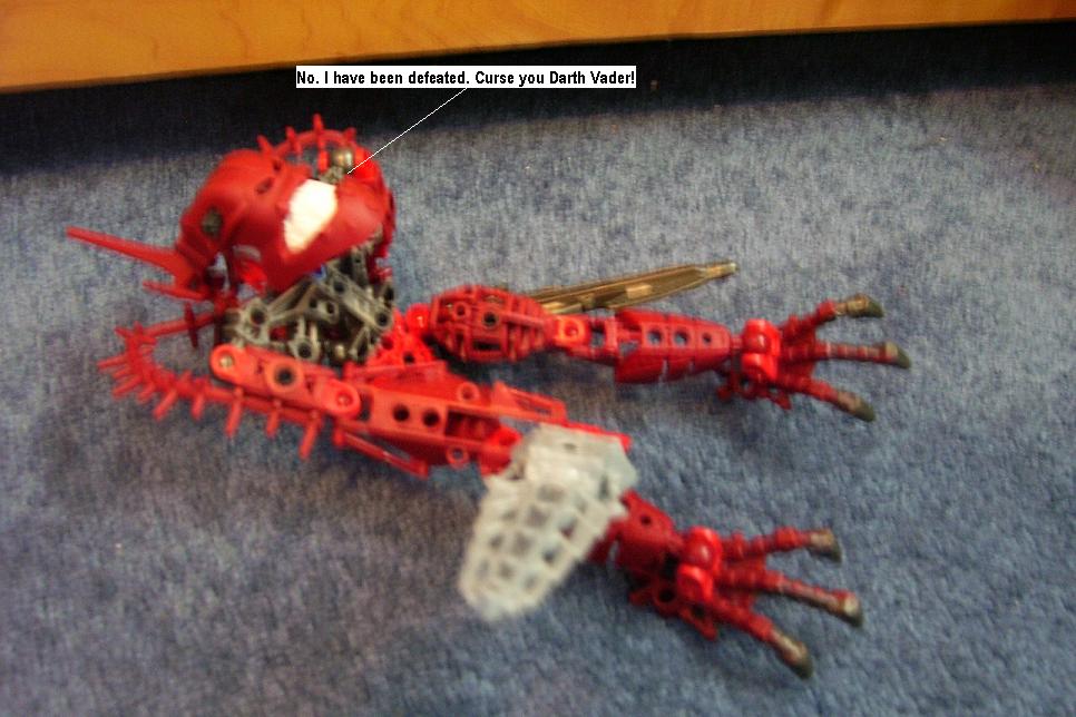 zzzj.jpg