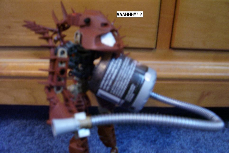 zzx.jpg