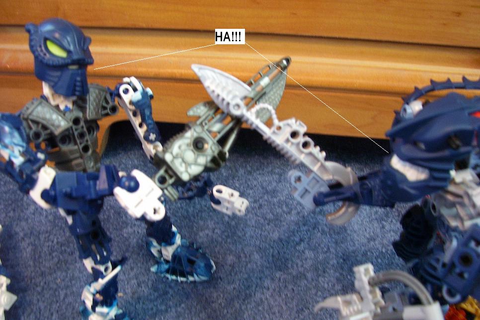 zzi.jpg