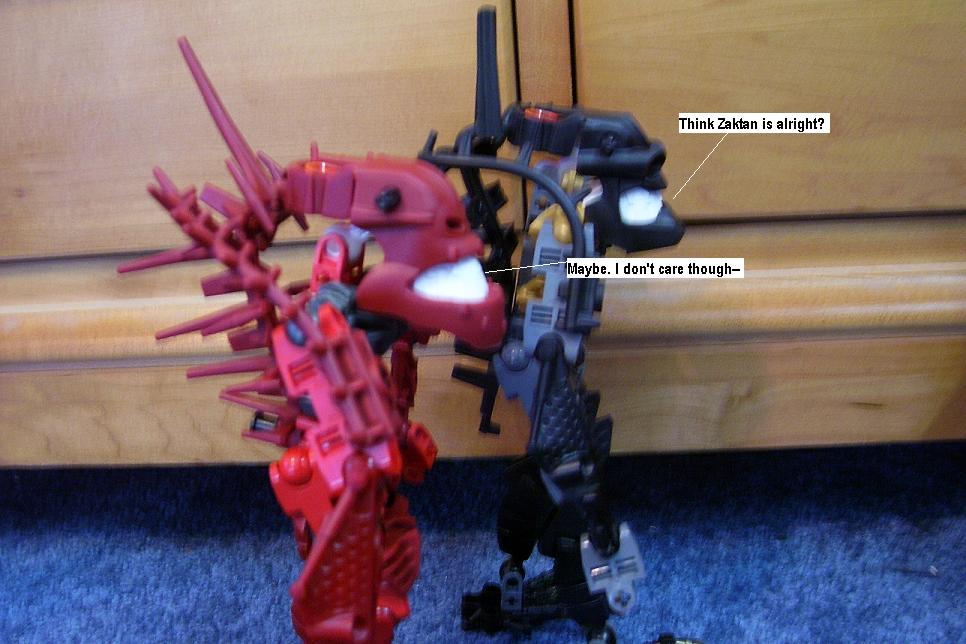 zzzd.jpg