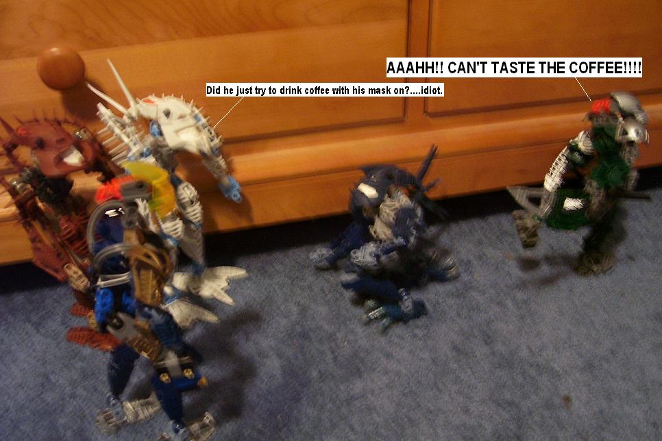 zzf.jpg