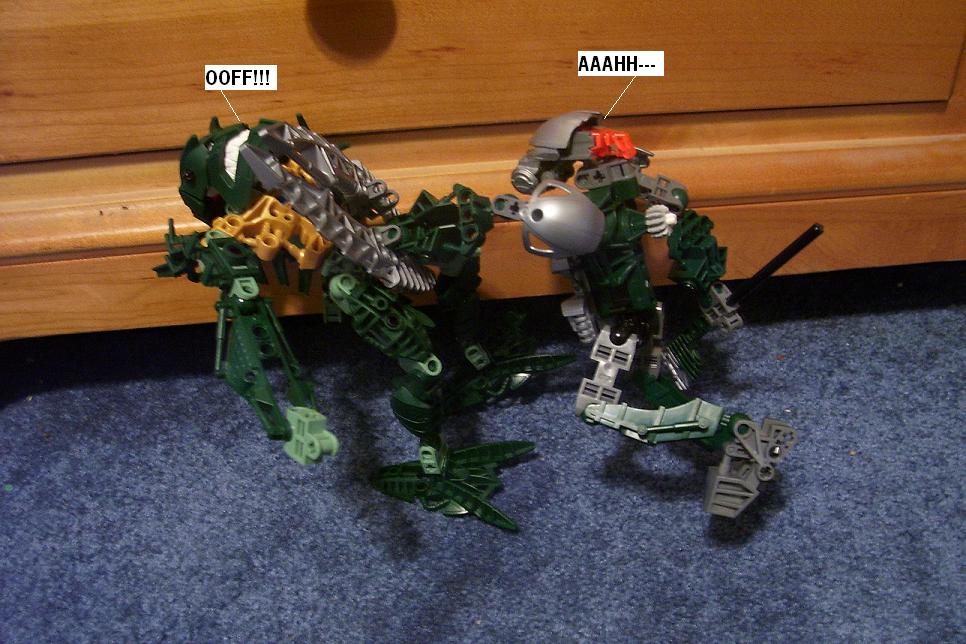 zzp.jpg