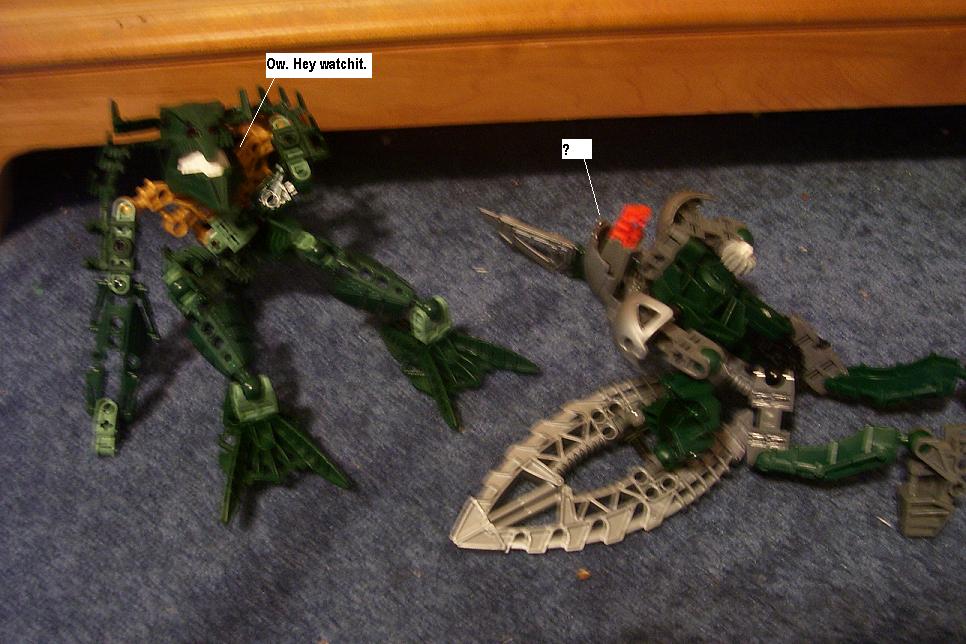 zzq.jpg
