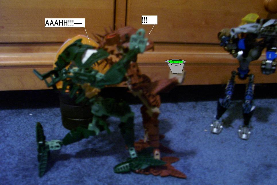 zzzf.jpg