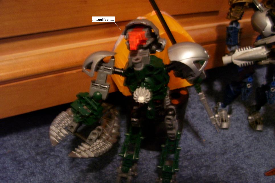 zzzq.jpg