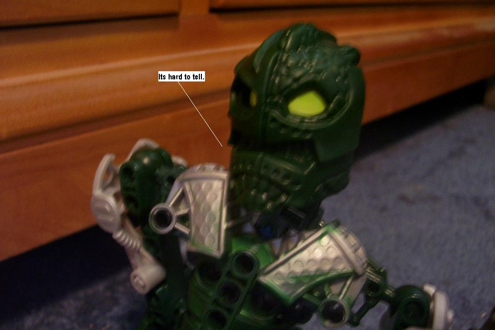 zf.jpg