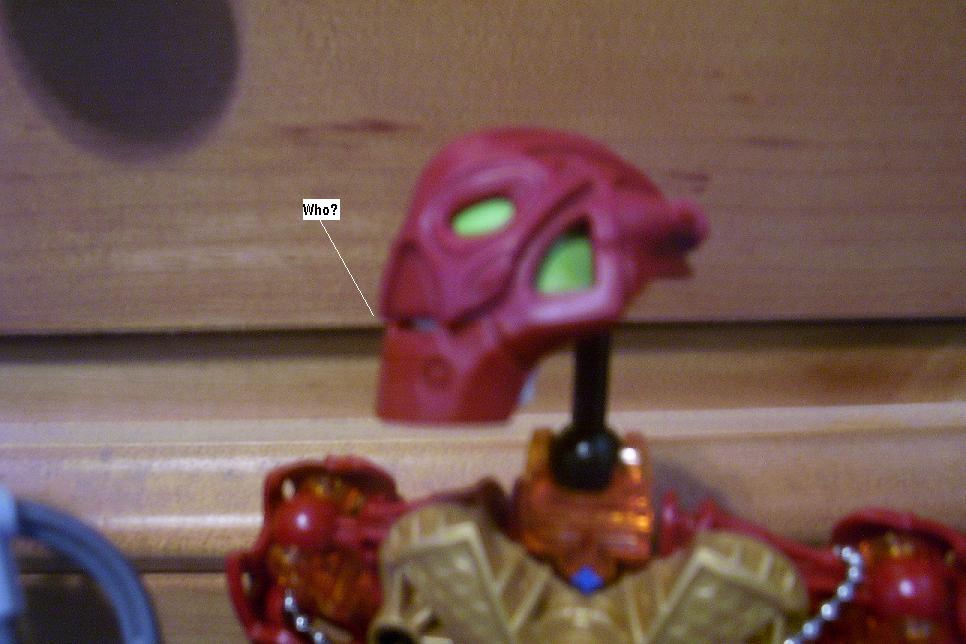 zzze.jpg