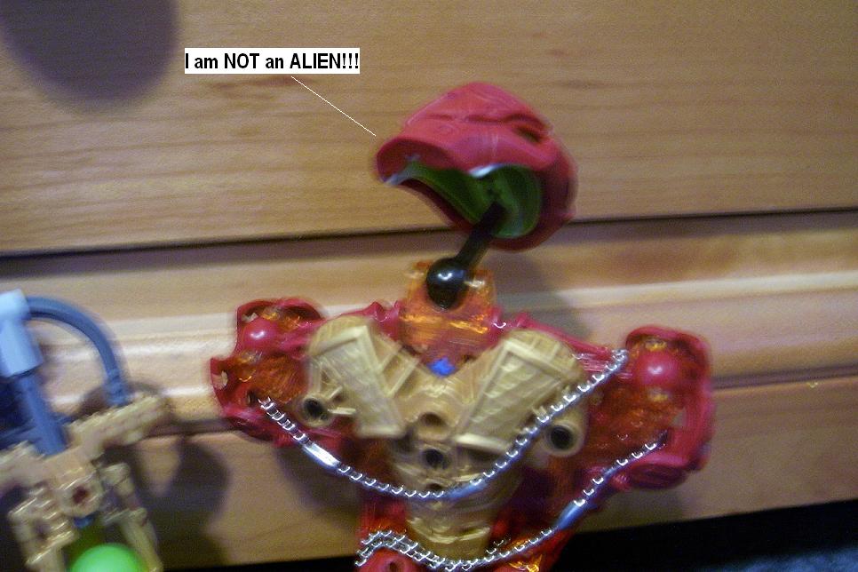zzzj.jpg