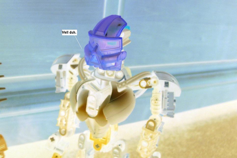 zzzzzw.jpg