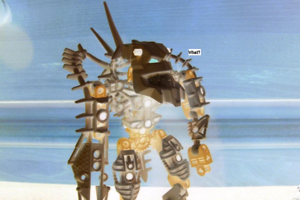 zzzzzzb.jpg