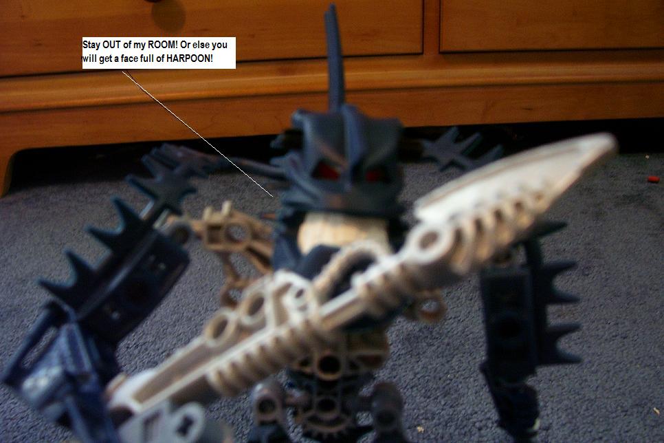 h.jpg