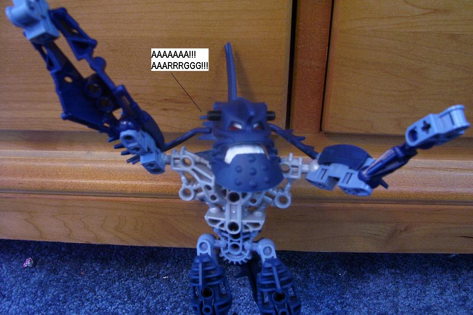 zb.jpg