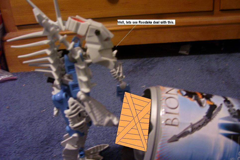t.jpg