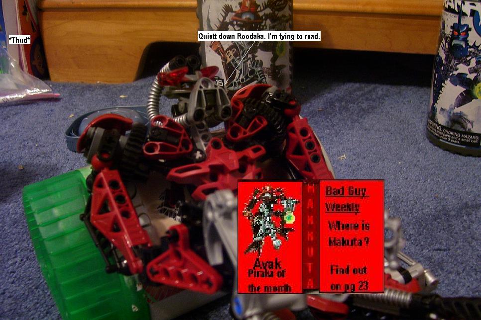 zb.jpg