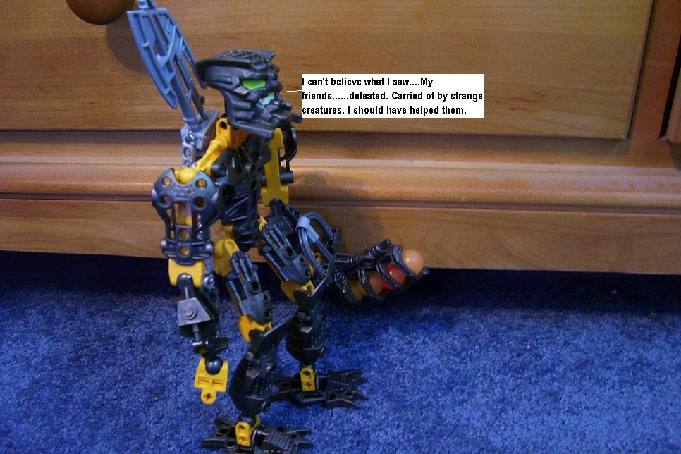 s12.jpg