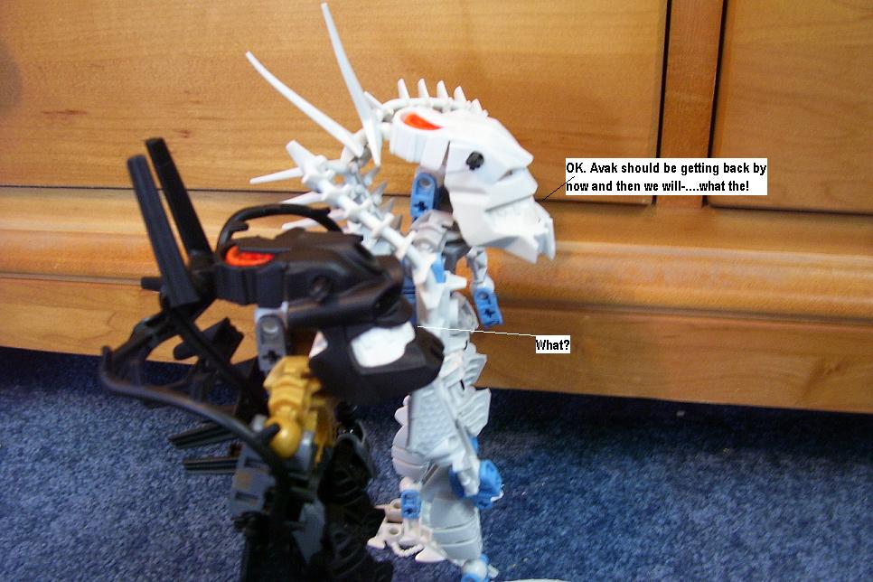 s79.jpg