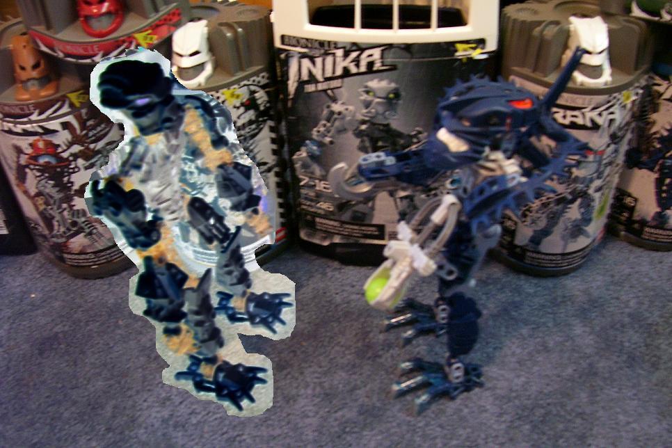 t1.jpg