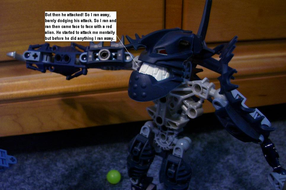 t19.jpg