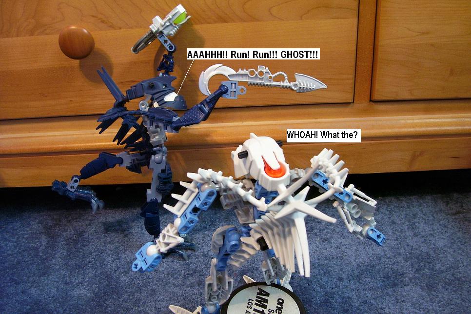 t5.jpg
