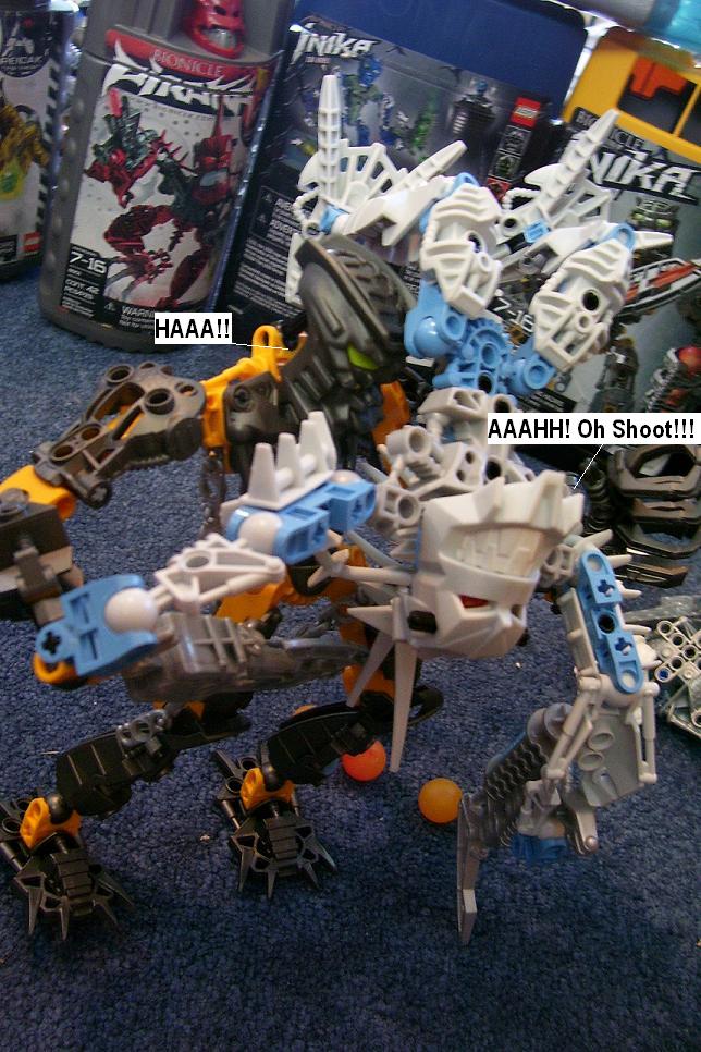 u121.jpg