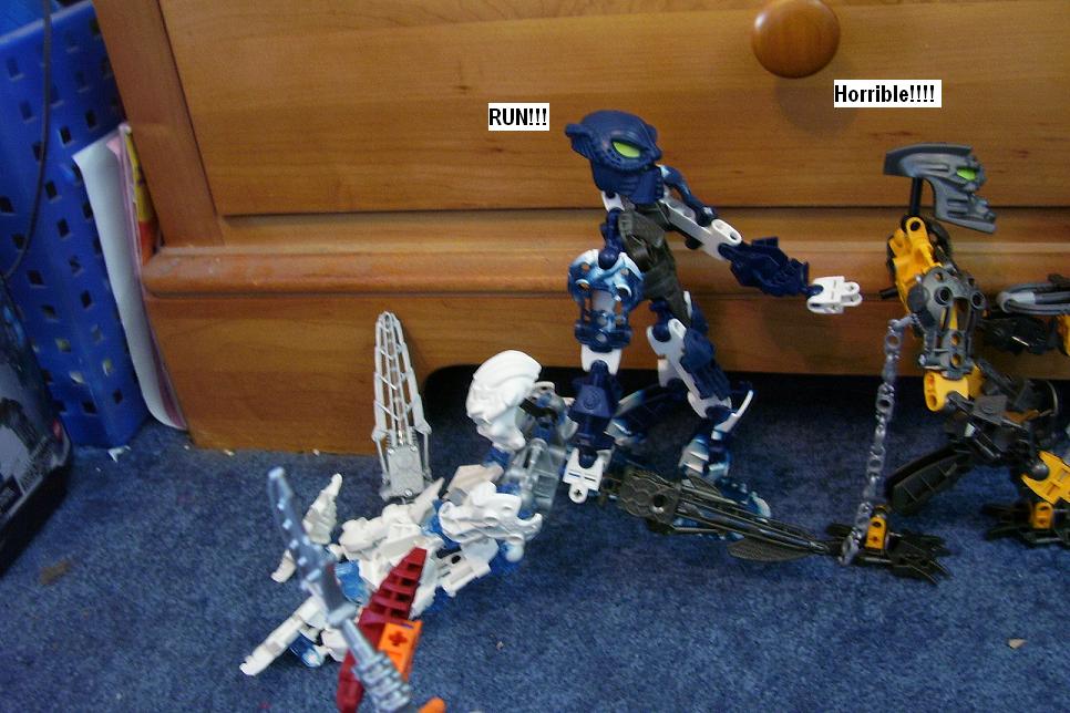 u147.jpg