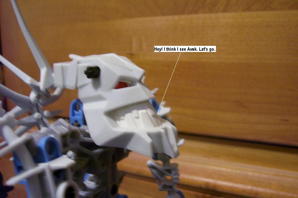n15.jpg