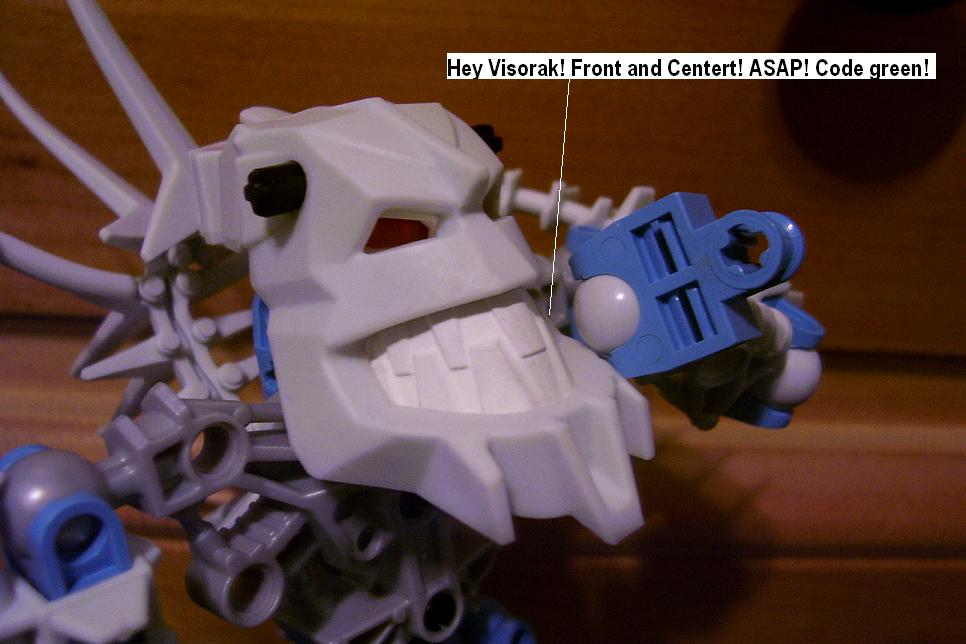 n73.jpg