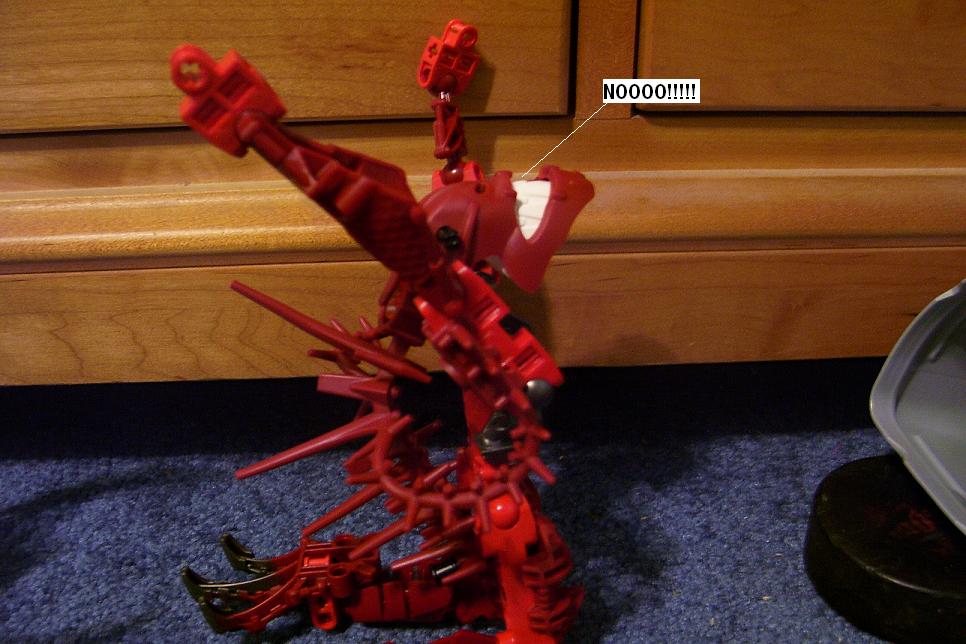 o41.jpg