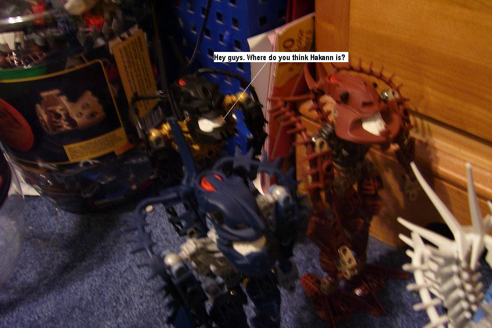 o6.jpg