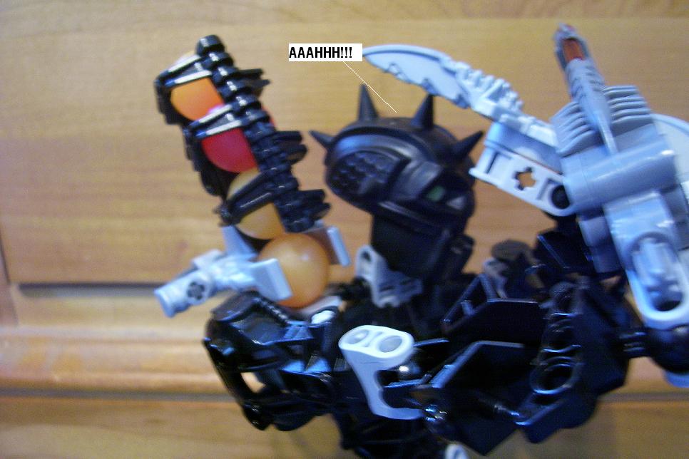 r17.jpg
