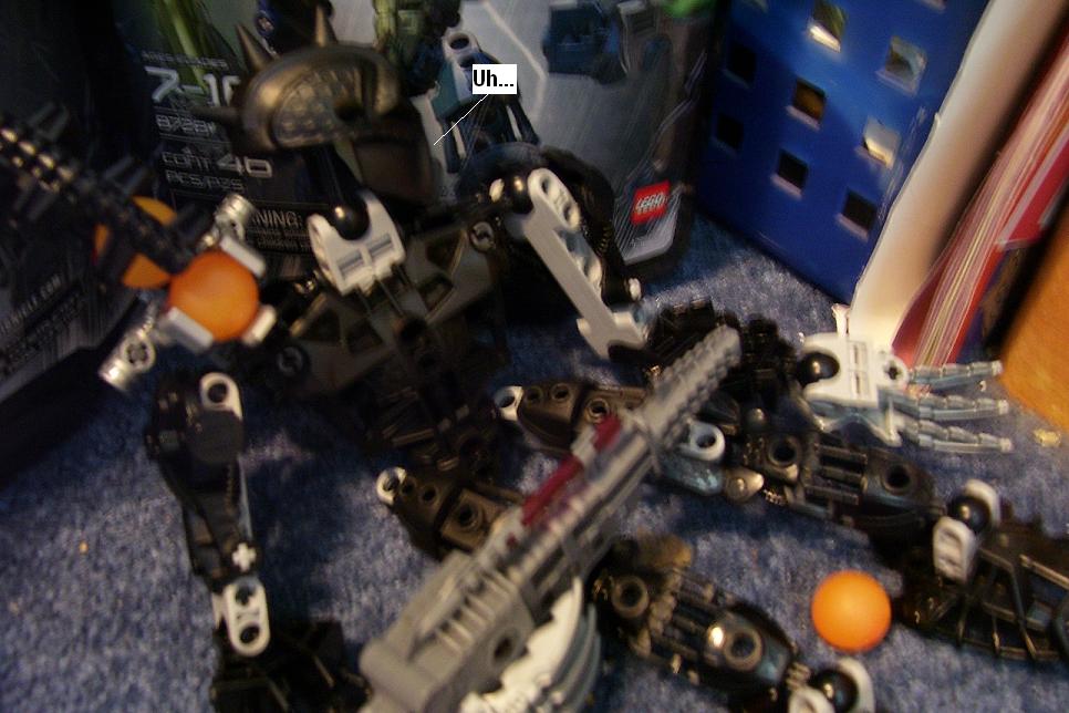 r29.jpg