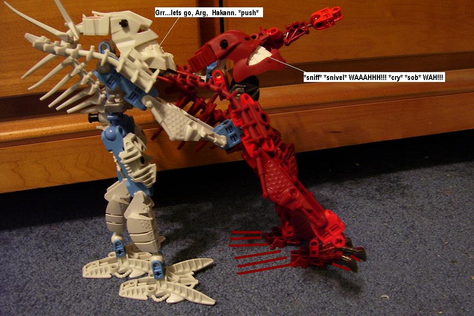 k23.jpg