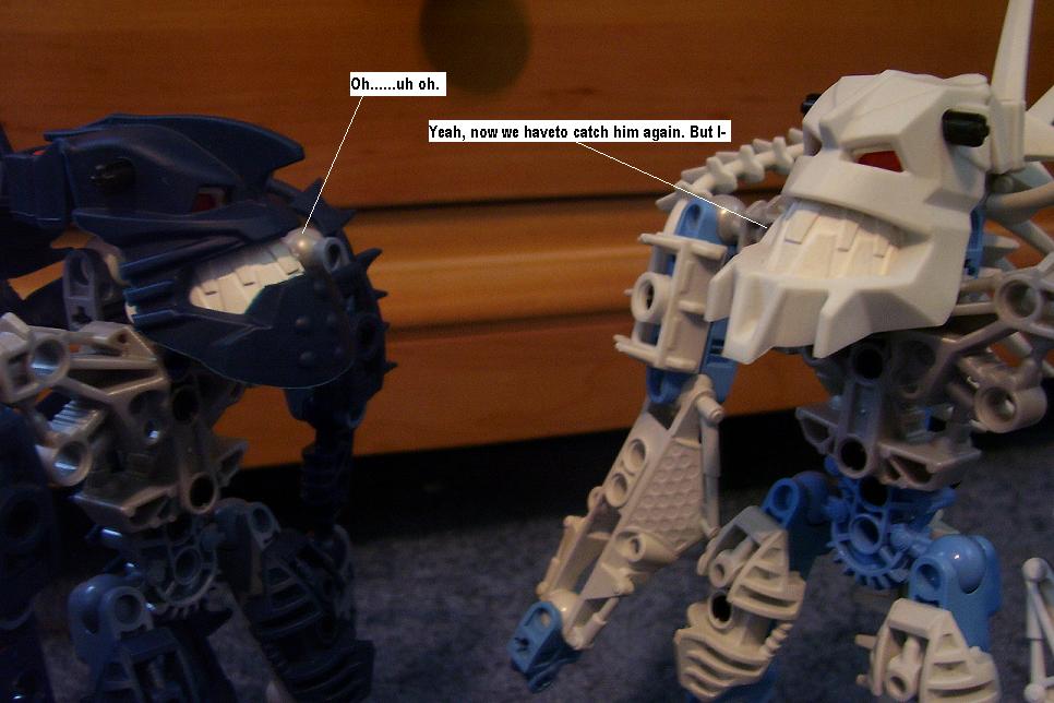 q11.jpg