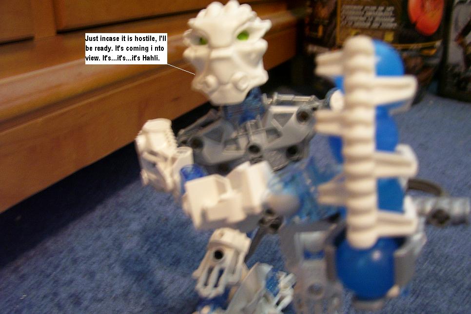 q25.jpg