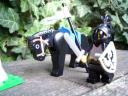 pic_0018.jpg