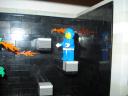 dsc08166.jpg