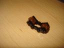 dsc07513.jpg