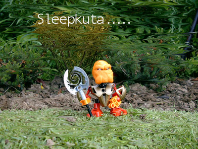 sleepkuta6s.jpg