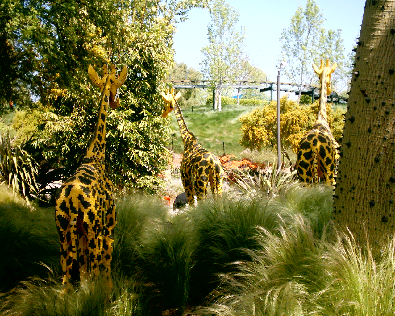 dsc_0015_0015.jpg