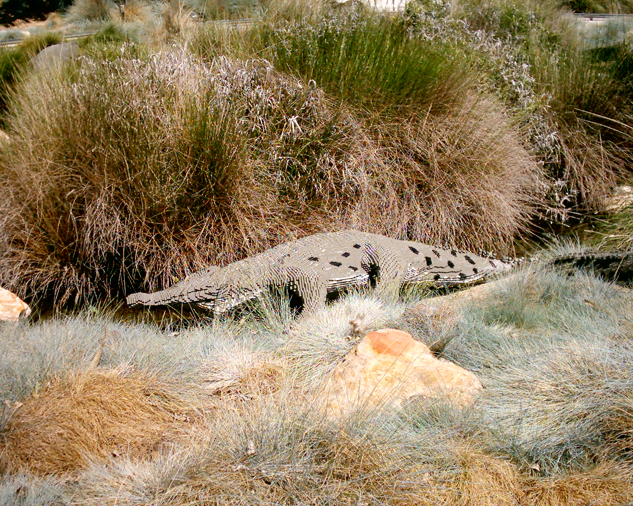 dsc_0017_0017.jpg