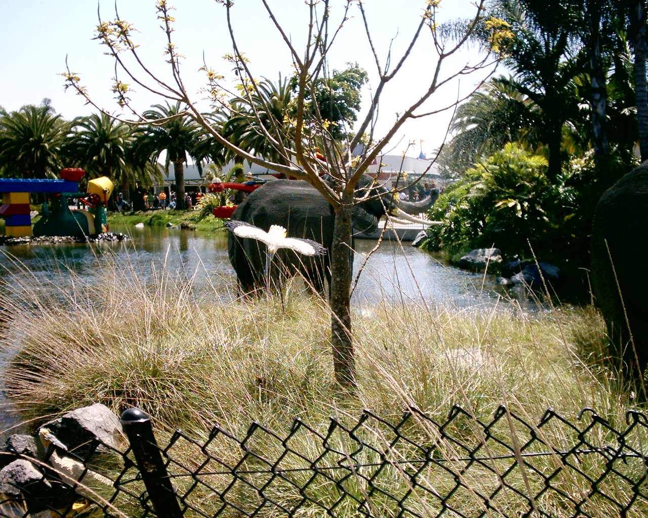 dsc_0018_0018.jpg