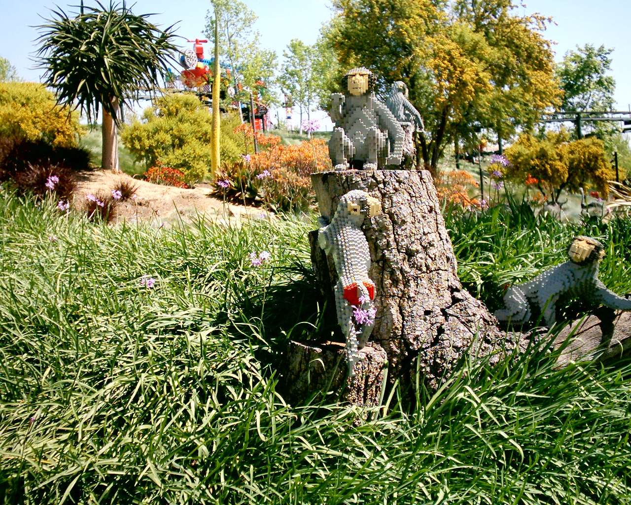 dsc_0021_0021.jpg
