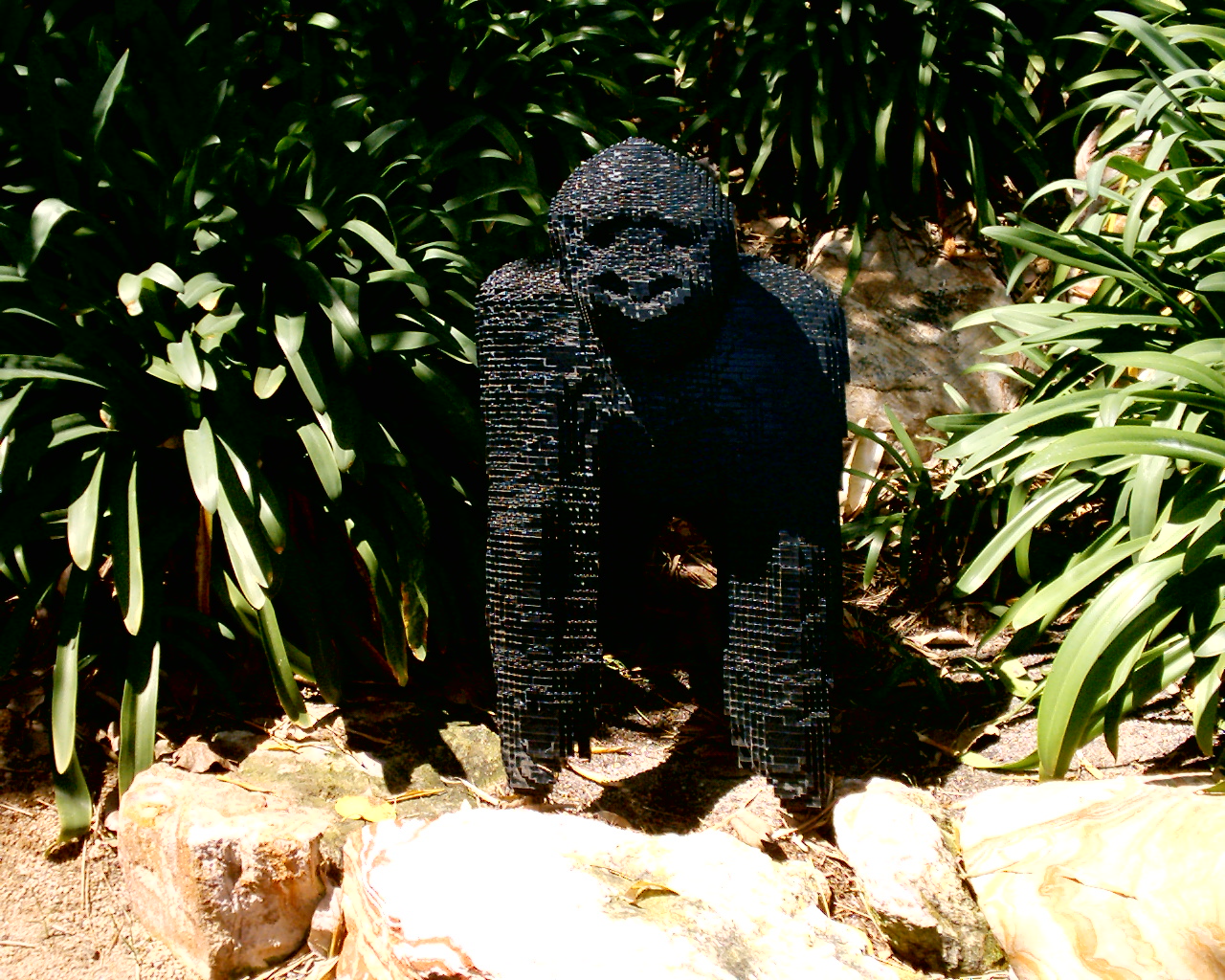 dsc_0022_0022.jpg