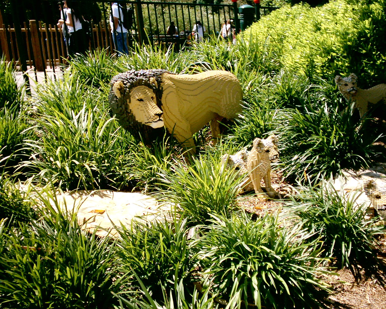 dsc_0023_0023.jpg
