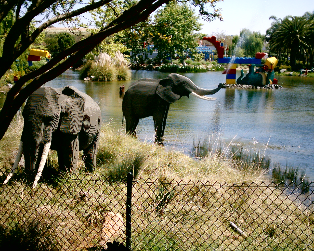 dsc_0024_0024.jpg