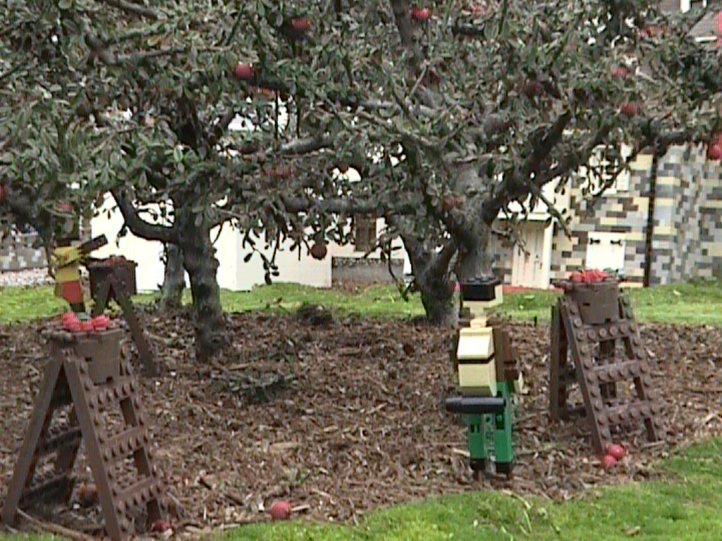 dvc01503.jpg