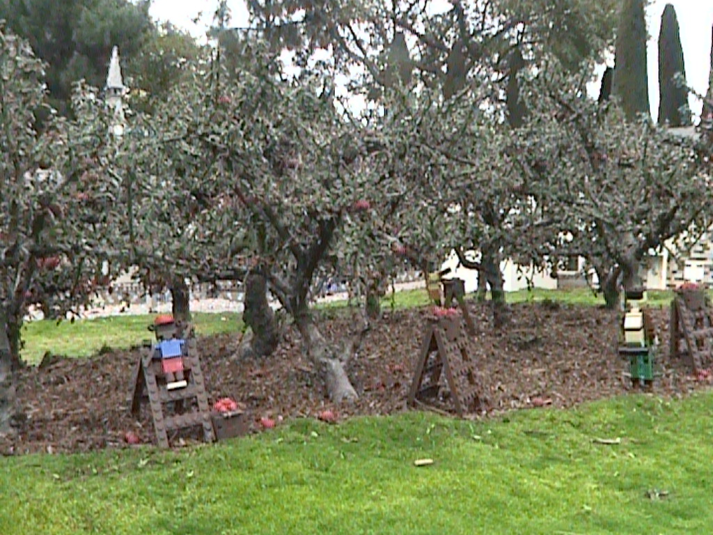 dvc01504.jpg