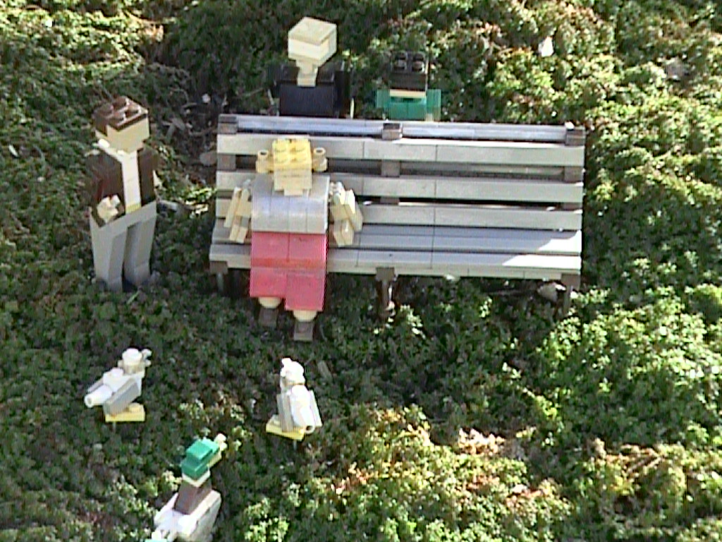 dvc01550.jpg
